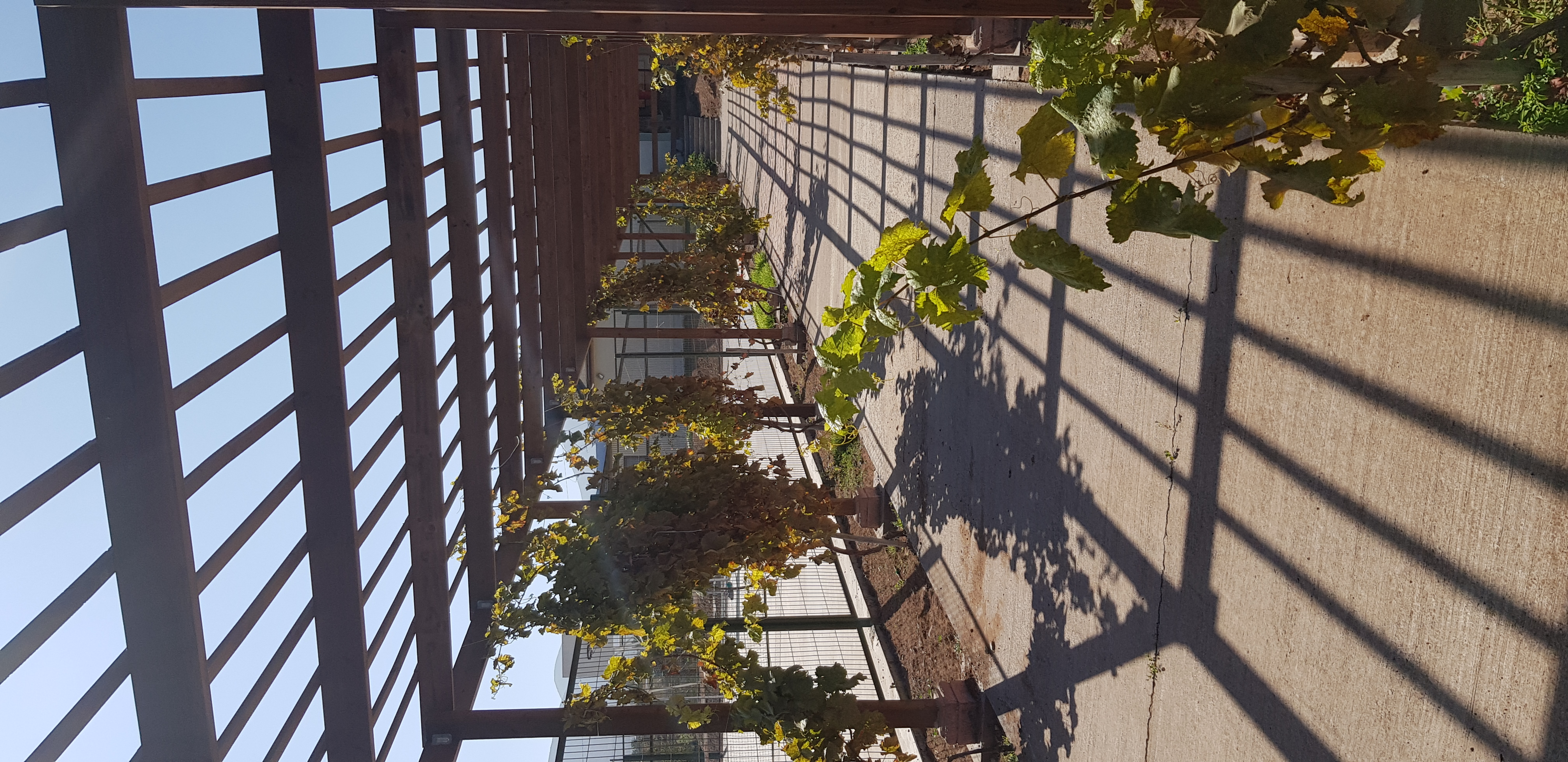 Parcela Altovalsol La Serena - Imagen 8