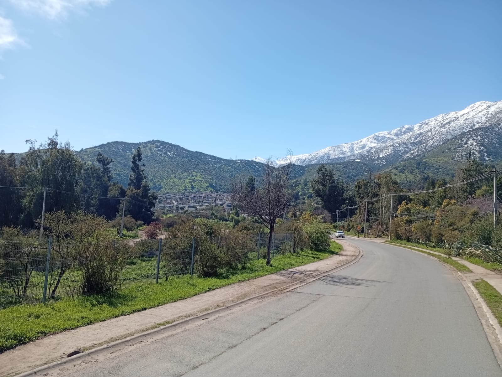 La Dehesa de la Viña - Imagen 30